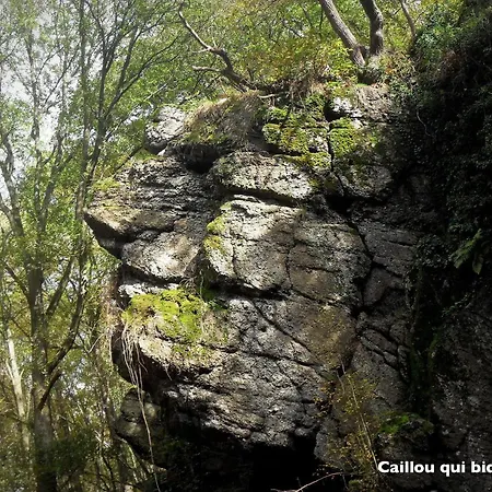 Semesterbostad Progites 