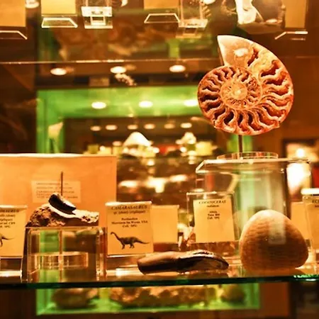 Le Loft