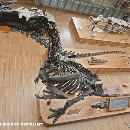 Vakantiehuis Progites 