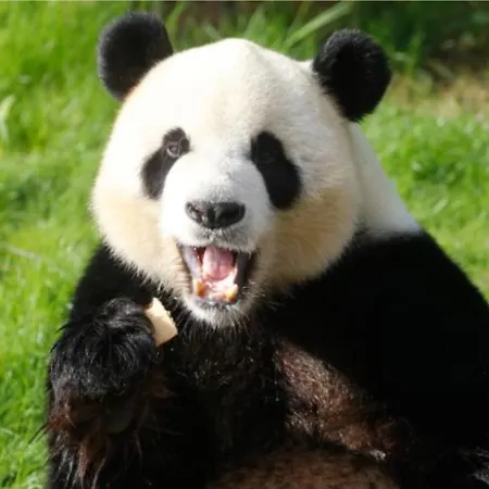 Vakantiehuis Progites 