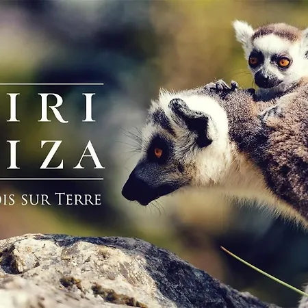 Semesterbostad Progites 